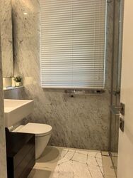 Scotts Square (D9), Apartment #587133331